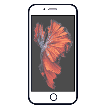 iPhone 7 Plus iPhone 7 Plus